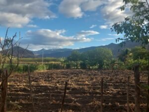 SE VENDE TERRENO DE 1000m2